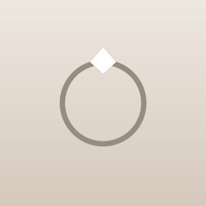Interlocking Circles Necklace